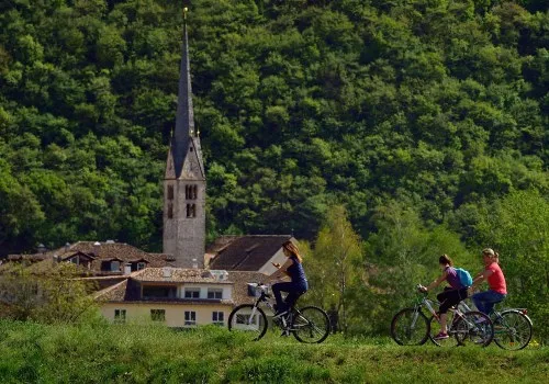 Biking Biking